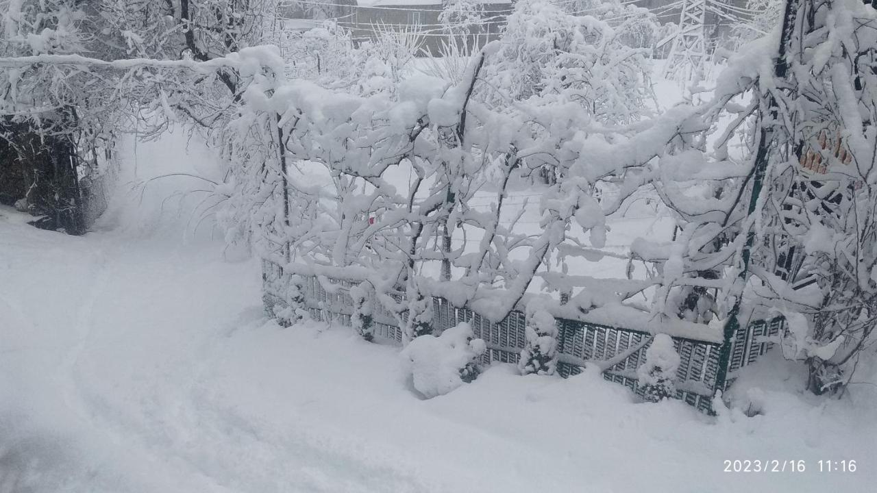 Cottage House K'eda エクステリア 写真